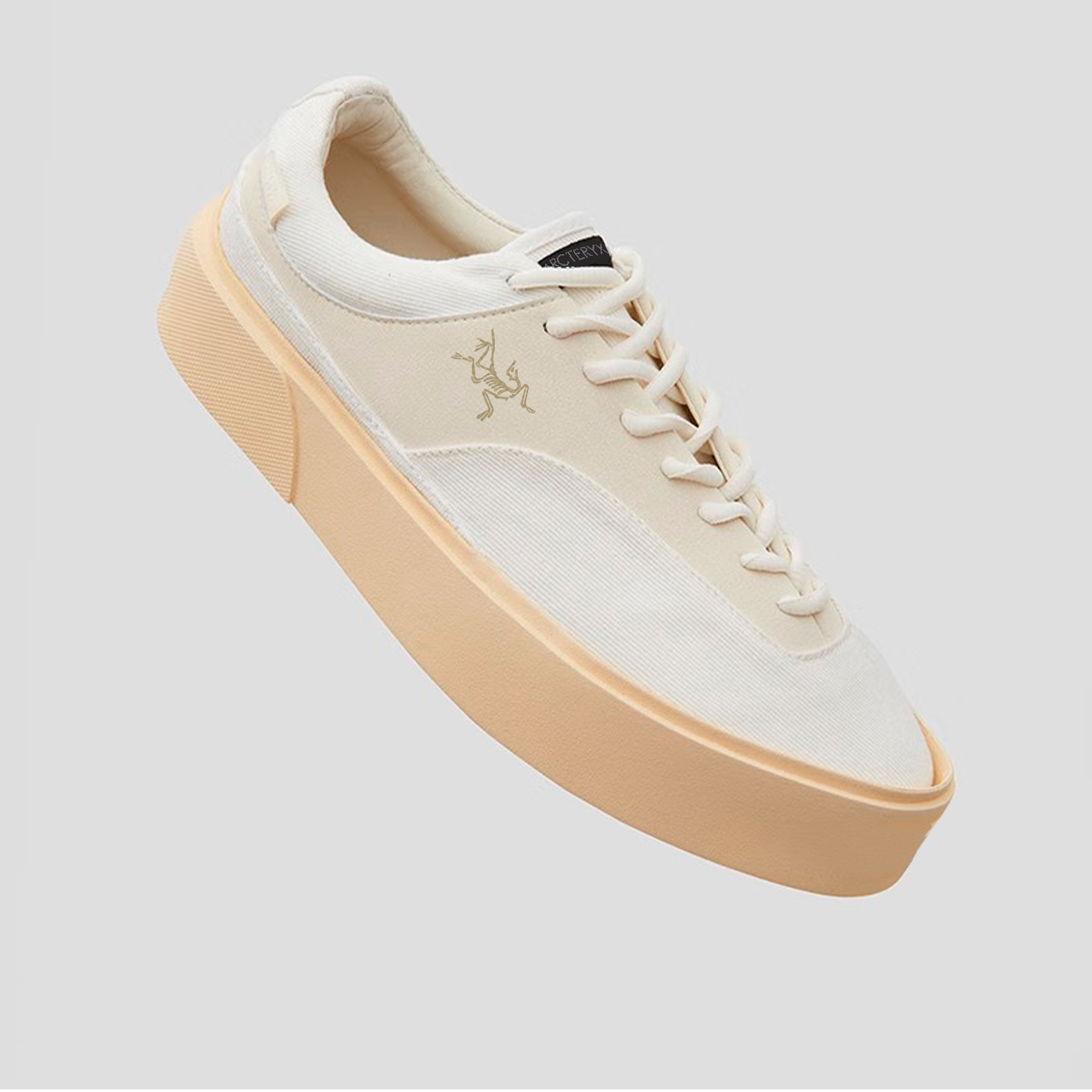 shoe